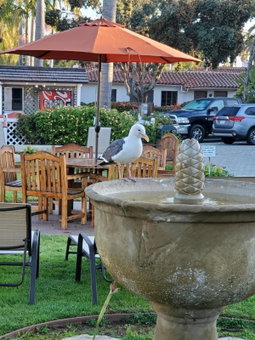 Marina Beach Hotel, Santa Barbara, Vereinigte Staaten
