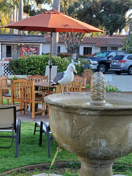 Marina Beach Hotel, Santa Barbara, Vereinigte Staaten