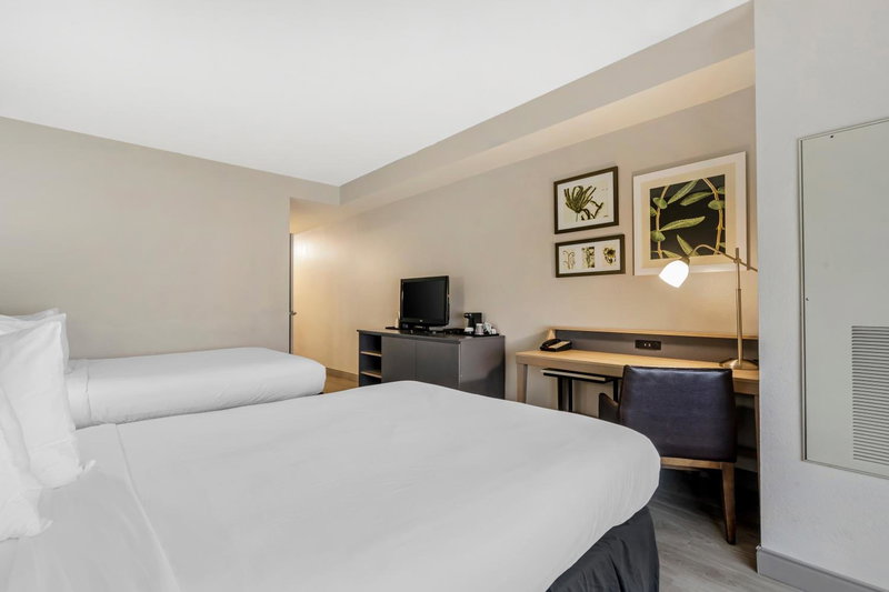 Country Inn & Suites by Radisson, Tampa Airport North, FL, Tampa, United States