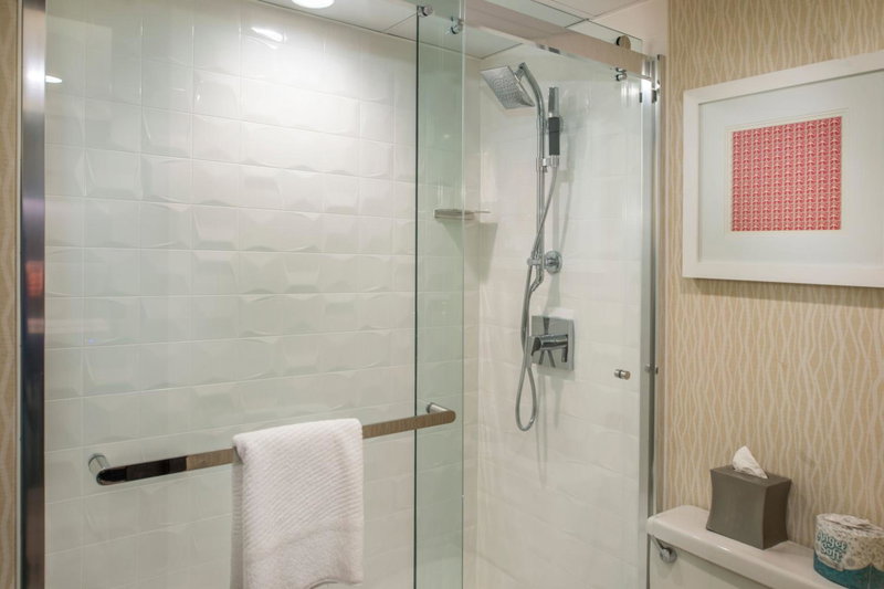 Marriott St. Louis Airport, Edmundson, United States