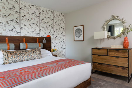 Field Guide Lodge, Stowe, United States