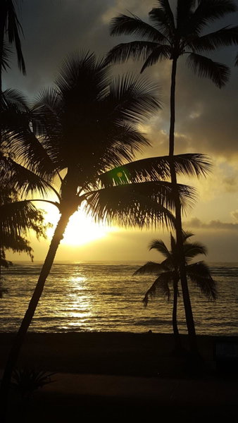 Hotel Coral Reef, Kapaa, United States