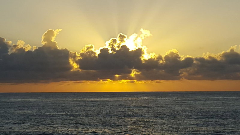 Hotel Coral Reef, Kapaa, United States