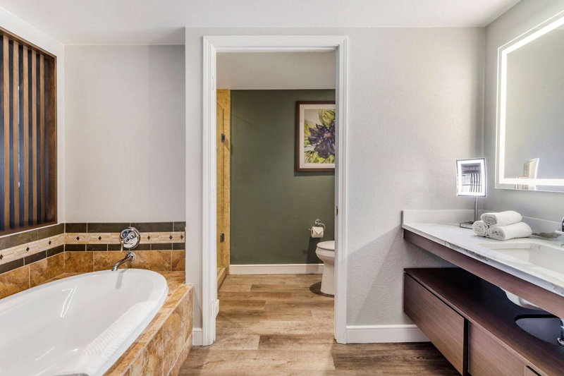 Hilton Grand Vacations Club Flamingo Las Vegas, Las Vegas, United States