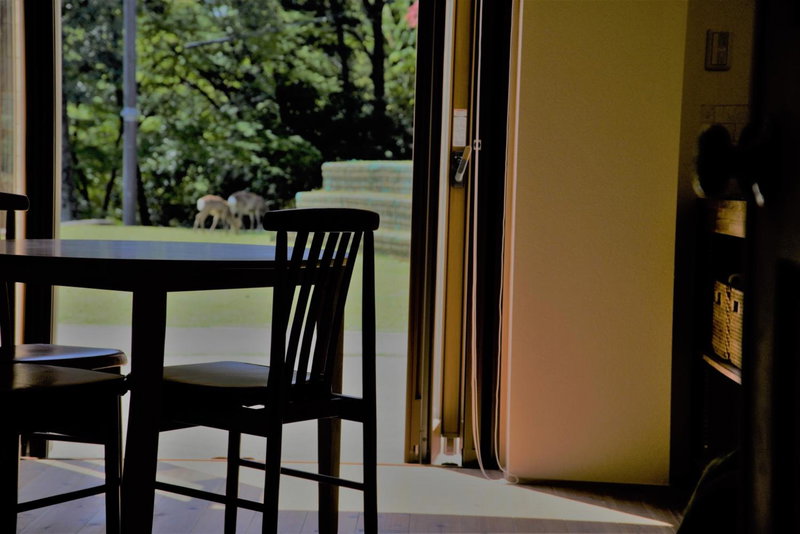 Mountain Home Lodge in Deer Park, Nara, Japan