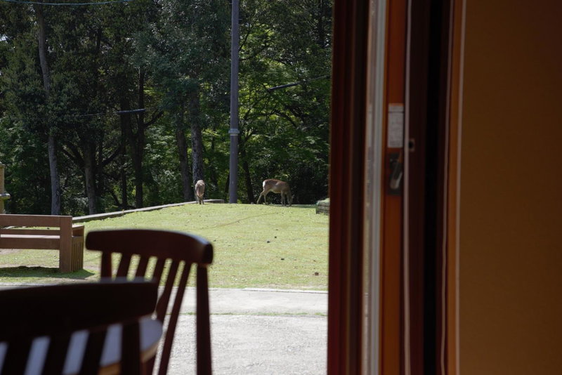 Mountain Home Lodge in Deer Park, Nara, Japan