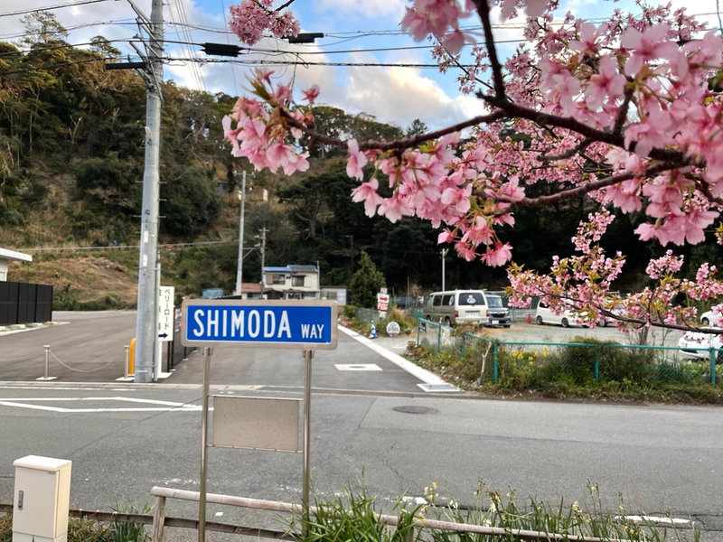 Guesthouse All you need - All rooms have an ocean view!, Shimoda, Japan