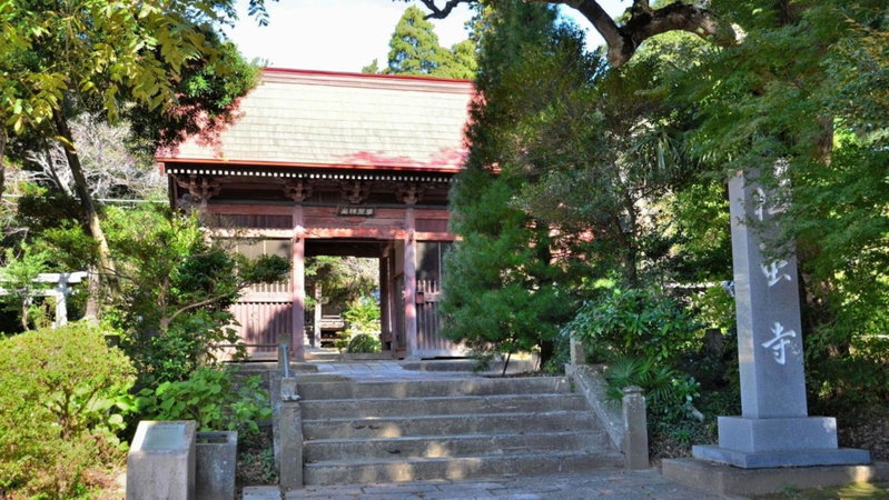 Toyoko Inn Imba Nihon-idai Ekimae, Inzai, Japan