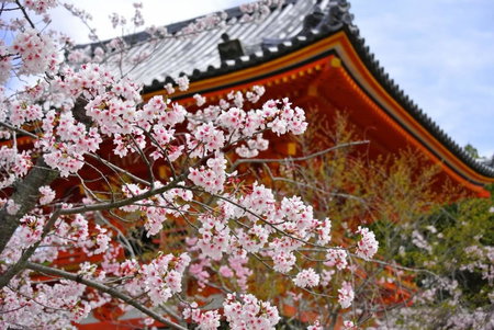 Stay SAKURA Kyoto Tambaguchi, Kyoto, Japan