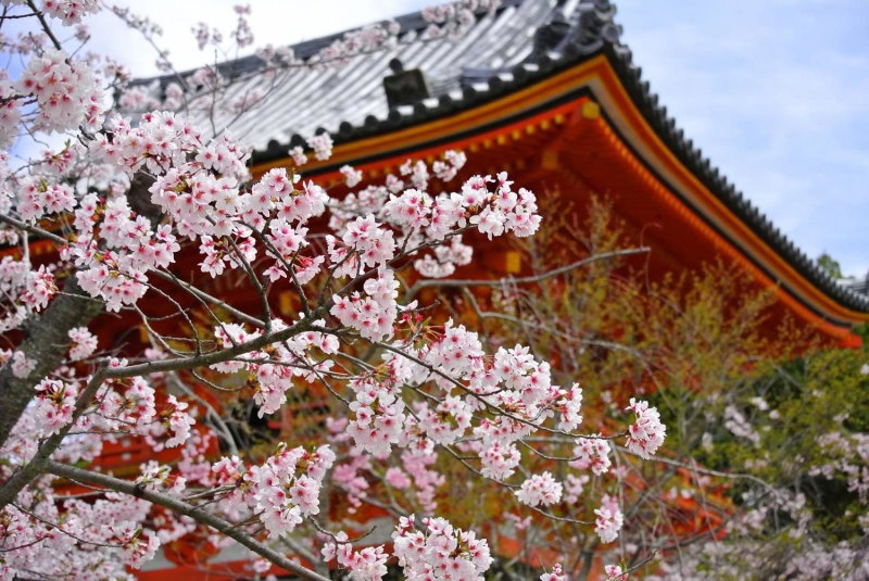 Stay SAKURA Kyoto Tambaguchi, Kyoto, Japan