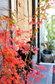 Oyado Yukizumi, Kusatsu, Japan