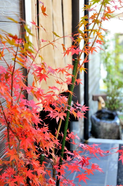Oyado Yukizumi, Kusatsu, Japan