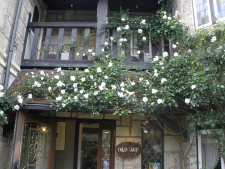 Petit Hotel & Restaurant Old Age, Hokuto, Japan