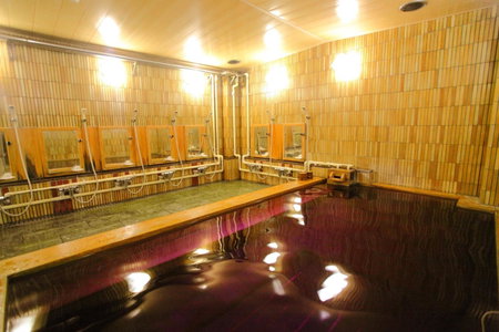 Hotel Marutani, Tokyo, Japan