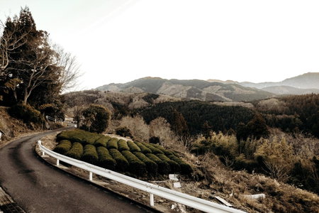 Guesthouse Nedoko, Nakatsugawa, Japan