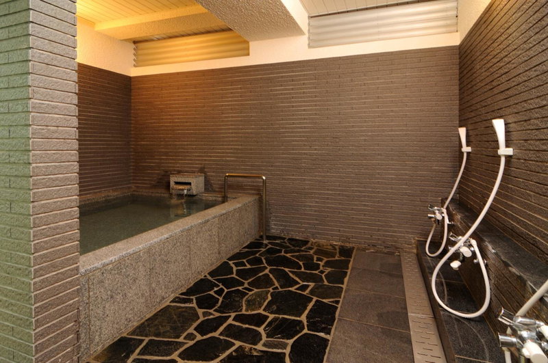 Hotel Iida, Kyoto, Japan