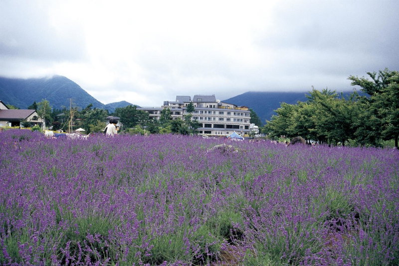 Maruei, Fujikawaguchiko, Japan