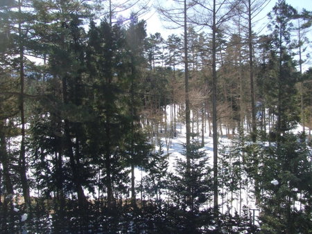 Sundance Resort Kawaguchiko, Fujikawaguchiko, Japan