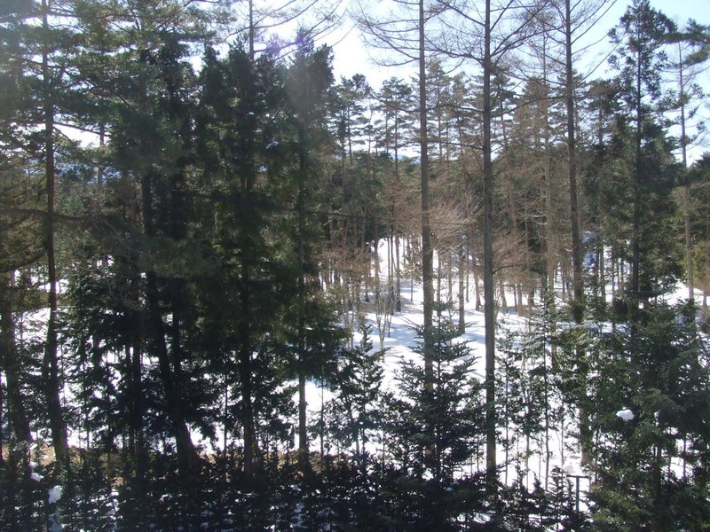 Sundance Resort Kawaguchiko, Fujikawaguchiko, Japan