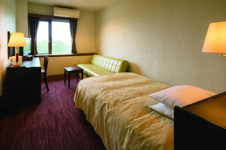 Okazaki New Grand Hotel, Okazaki, Japan