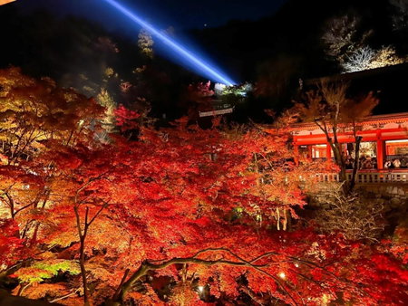 Rinn Kiyomizu Gion, Kyoto, Japan