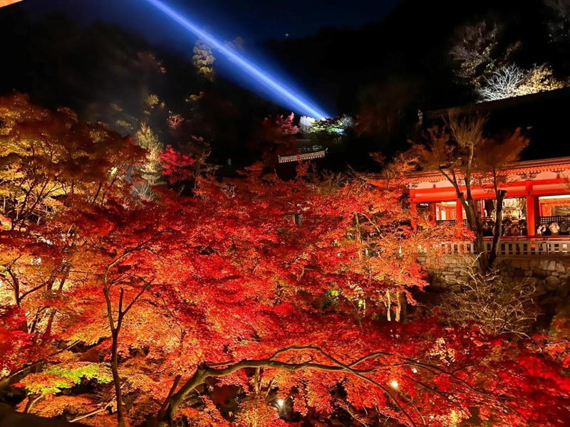 Rinn Kiyomizu Gion, Kyoto, Japan