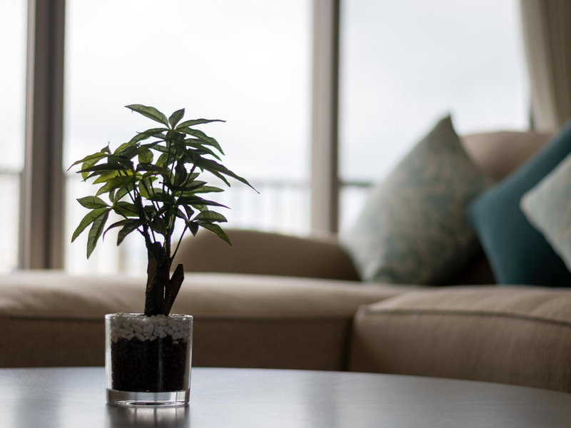 Cozy Stay in Naha, Naha, Japan