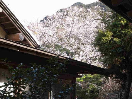 Ryokan Hanareya Ishidaya, Kawazu, Japan