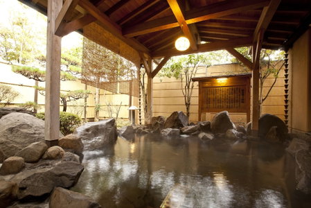 Yamaga Onsen Seiryuso, Yamaga, Japan