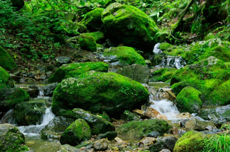 Nobori, Ome, Japan
