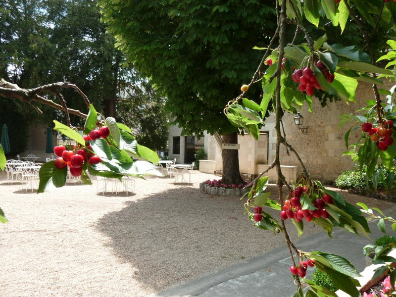 Teritoria Le Grand Monarque, Azay-le-Rideau, France