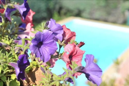 Sure Hotel by Best Western Mougins Belvedere, Mougins, France