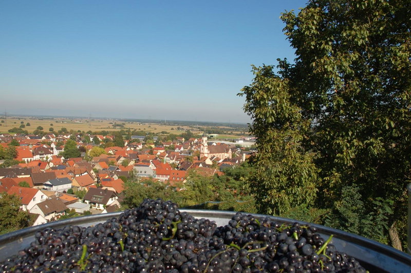 Hotel Riegeler Hof, Riegel, Germany
