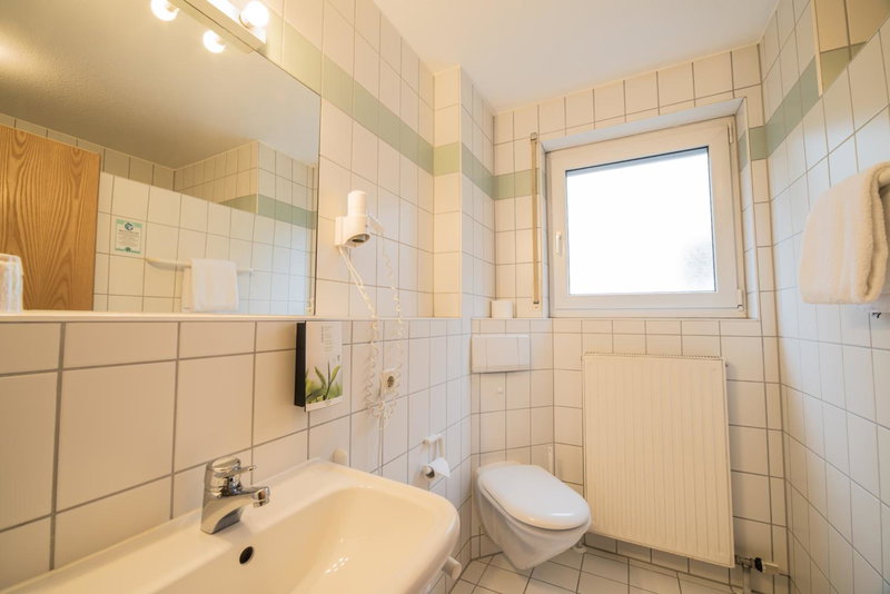 Hotel am Wasen, Freiberg am Neckar, Germany
