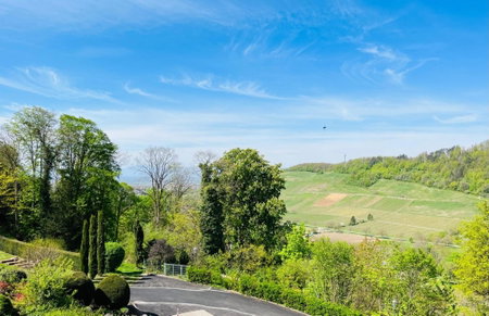 DAS SCHLOSSBERG - Boutique Hotel im Park- Nahe der Therme, Badenweiler, Germany
