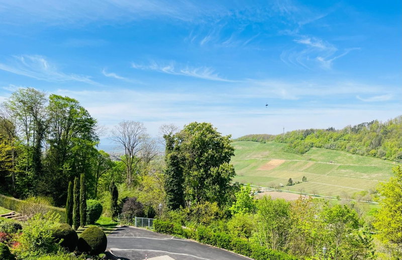 DAS SCHLOSSBERG - Boutique Hotel im Park- Nahe der Therme, Badenweiler, Germany