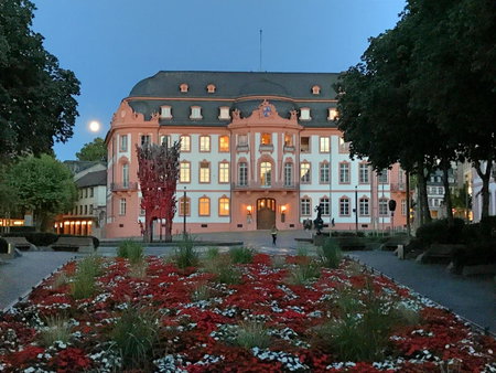 Osteiner Hof by The Apartment Suite, Mainz, Germany