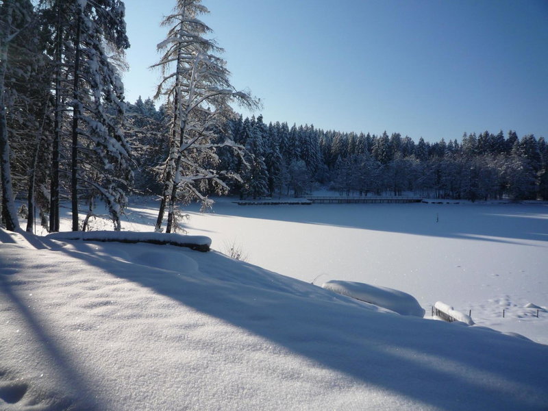 Hotel Waldsee, Lindenberg im Allgäu, Germany