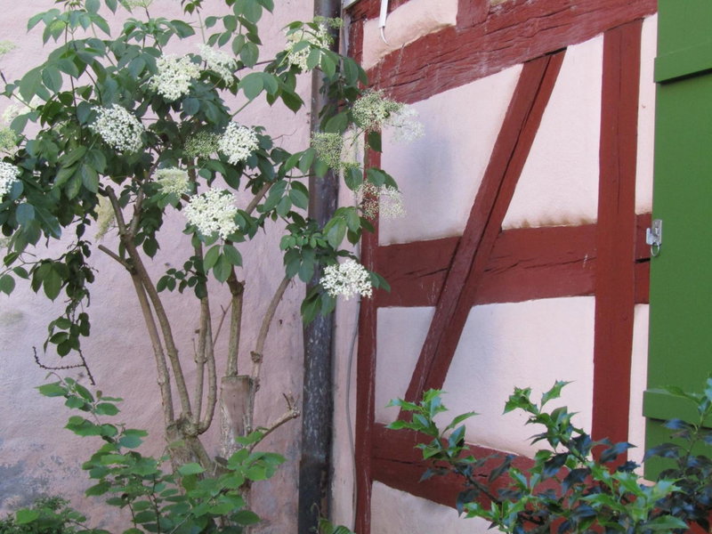 Hotel und Gasthof Ritter St. Georg, Erlangen, Germany