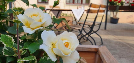 Hotel "Pension Marlis", Reichenberg, Germany