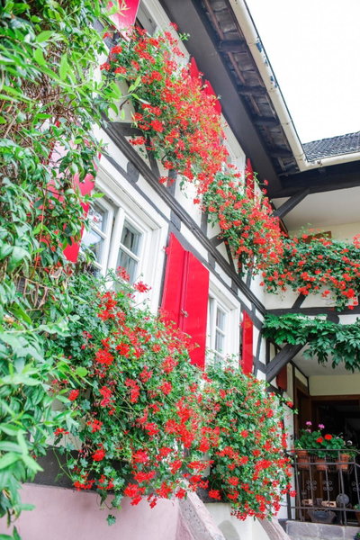Hotel de Charme 'zum Schiff', Iffezheim, Germany