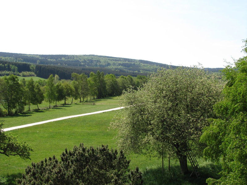 Hotel Steuer, Allenbach, Germany