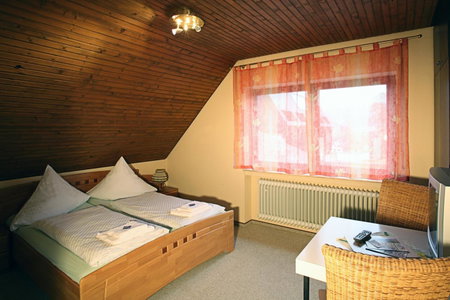 Hotel Steuer, Allenbach, Germany