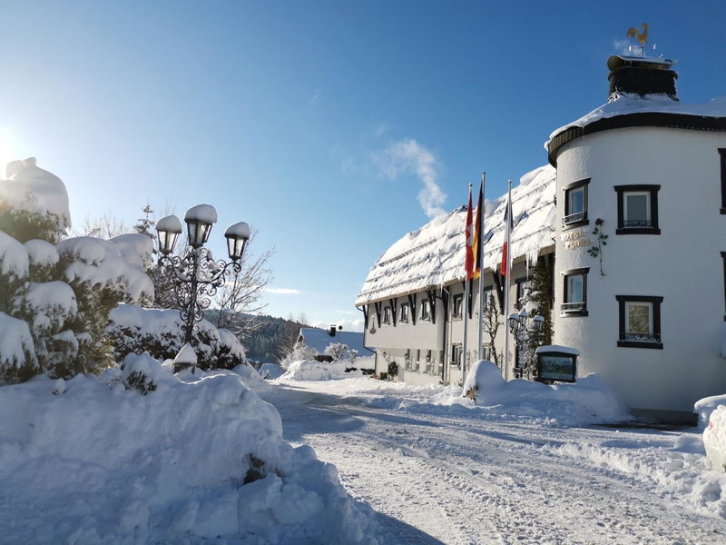 Parkhotel Flora am Schluchsee, Schluchsee, Germany