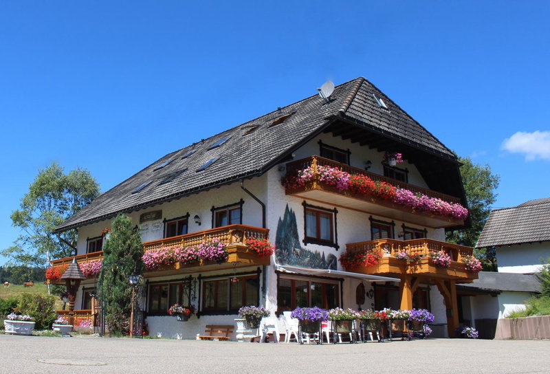 Pension Altvogtshof, Eisenbach, Germany