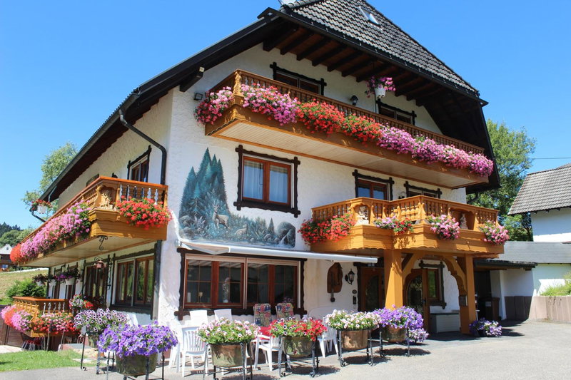Pension Altvogtshof, Eisenbach, Germany