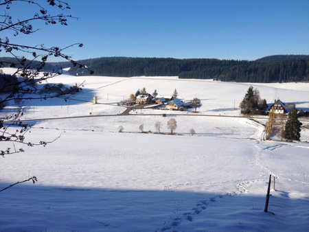 Pension Altvogtshof, Eisenbach, Germany