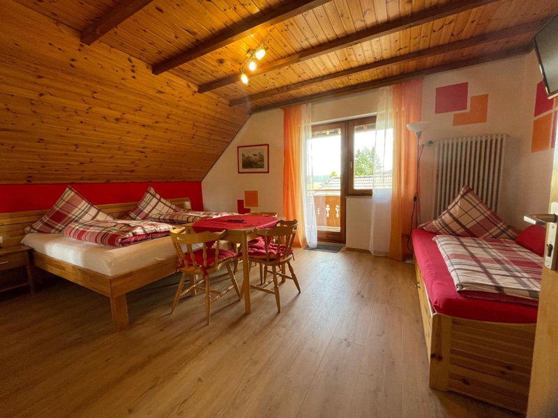 Pension Altvogtshof, Eisenbach, Germany