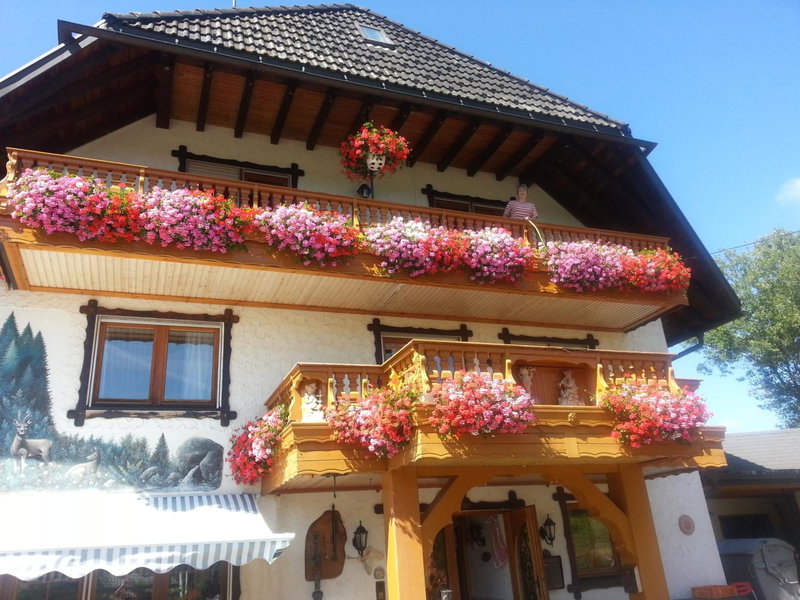 Pension Altvogtshof, Eisenbach, Germany