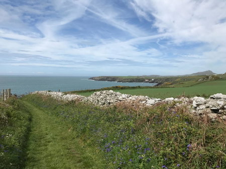 The Cambrian Inn, Solva, United Kingdom